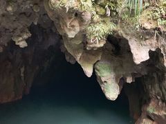 -怀托摩萤火虫洞