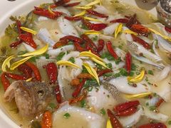 -江渔儿酸菜鱼(映月湖环宇城店)