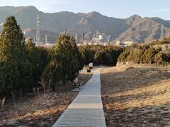 -白水寺森林公园