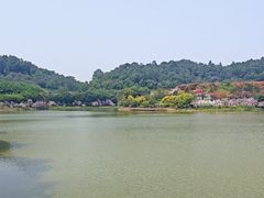 -滴水岩森林公园
