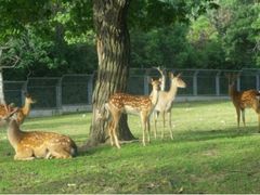 -西安秦岭野生动物园