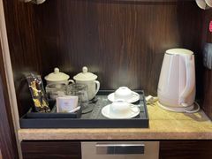 -长沙小天鹅戴斯酒店