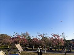 -风云岭森林公园