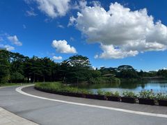 -福田红树林生态公园