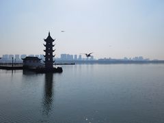 -无锡蠡湖国家湿地公园-蠡园
