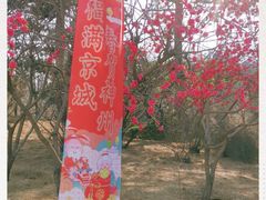 -香山公园
