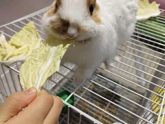 -兰岛广场(白沙路店)