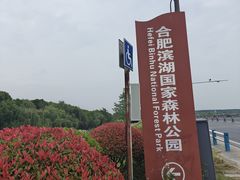 -合肥滨湖国家森林公园