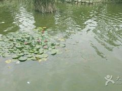 -武汉紫薇都市田园