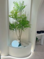 -VE小颜皮肤管理&科学美肤中心