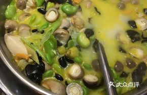 Fresh Broad Bean and Scallop Pot