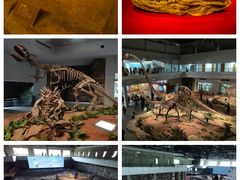 -自贡恐龙博物馆