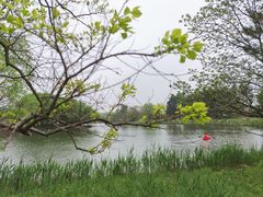 -苏州太湖国家湿地公园