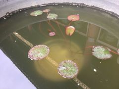景点-恭王府博物馆