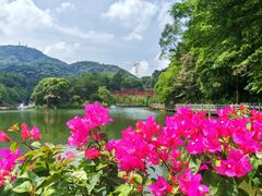 -广州市帽峰山景区