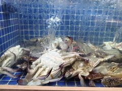 -浙C老邻舍(西城海错店)
