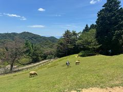 -神户市立六甲山牧场