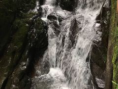 -藏龙百瀑风景区