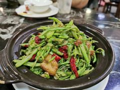 砂锅四季豆-李师傅脆肚(华强北店)