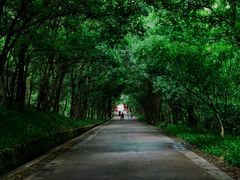 -灵谷景区