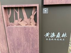 -黄海国家森林公园