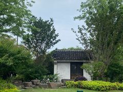 -新万鑫银丝面·非遗无锡味(惠山古镇店)
