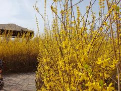 -淇河国家湿地公园