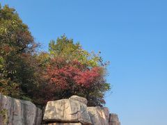 -北京西山国家森林公园