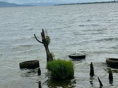 -大理洱海