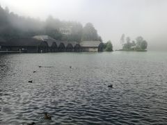 -柯尼希湖