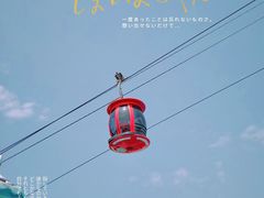-上海海昌海洋公园