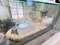 -合肥野生动物园