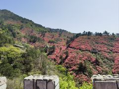 -木兰云雾山