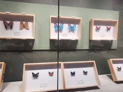 -四川宋瓷博物馆