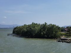 -深圳湾公园(南山区)