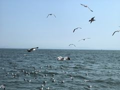 -大连海昌东方水城