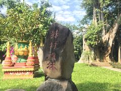 -瑞丽独树成林风景区