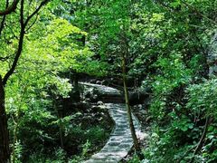 -玉渡山自然风景区