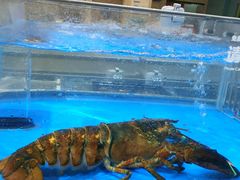-盒马鲜生(富田新天地店)