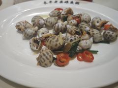 炒花螺-长平老姿娘夜粥(平东一街店)