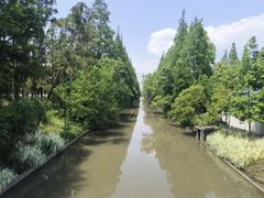 -上海长兴岛郊野公园