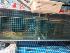 -犇鼎牛潮汕牛肉火锅(新辰里学清路店)