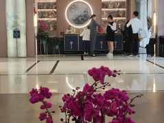 -华怡·金信酒店(潮州古城人民广场店)