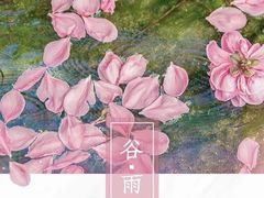 -好匯修手机电脑维修(百脑汇店)