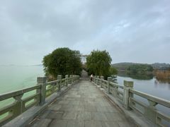 -上海市保健医疗中心