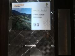 -上海尊茂酒店