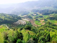 -紫鹊界梯田景区
