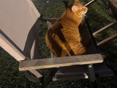 -大白之家天台轰趴•烧烤•团建•生日(南山店)