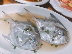 -天天渔港海鲜酒家(石浦玉泉路店)