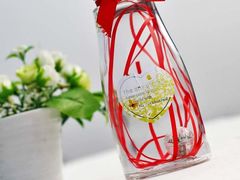 -引领英语·成人口语·雅思托福